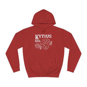 'Kytius has Herpes' Hoodie
